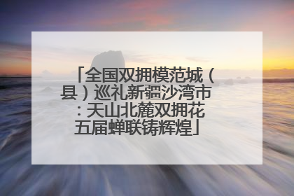 全国双拥模范城（县）巡礼新疆沙湾市：天山北麓双拥花 五届蝉联铸辉煌