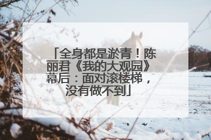 全身都是淤青！陈丽君《我的大观园》幕后：面对滚楼梯，没有做不到