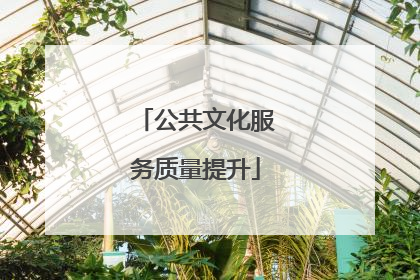 公共文化服务质量提升