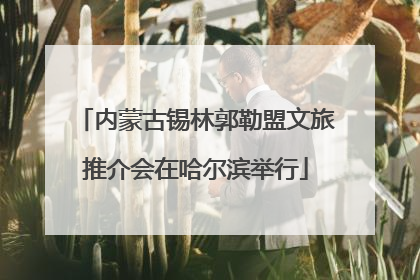内蒙古锡林郭勒盟文旅推介会在哈尔滨举行