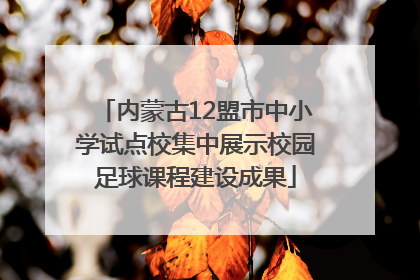 内蒙古12盟市中小学试点校集中展示校园足球课程建设成果