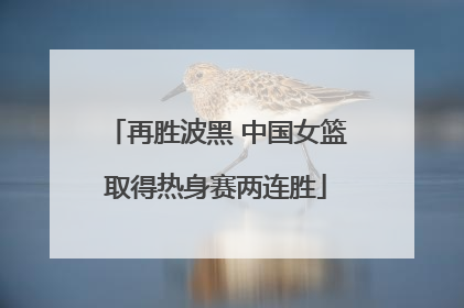 再胜波黑 中国女篮取得热身赛两连胜