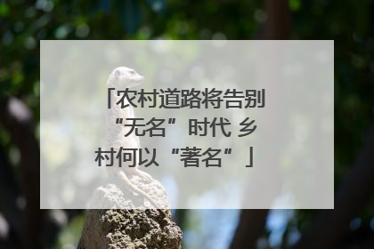 农村道路将告别“无名”时代 乡村何以“著名”