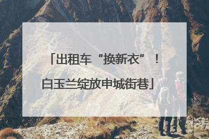 出租车“换新衣”！白玉兰绽放申城街巷