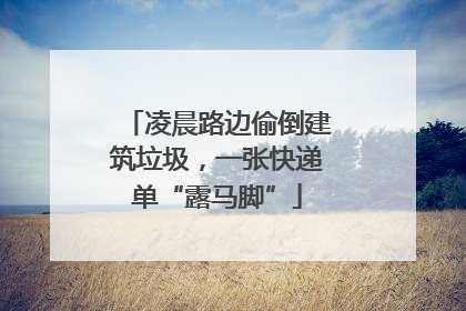 凌晨路边偷倒建筑垃圾，一张快递单“露马脚”