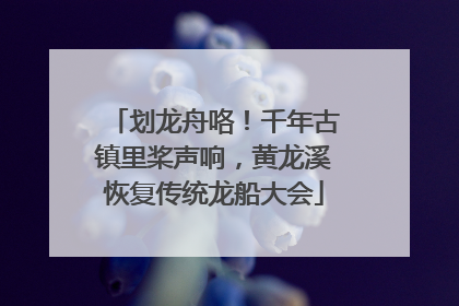 划龙舟咯！千年古镇里桨声响，黄龙溪恢复传统龙船大会