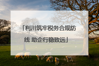 利川筑牢税务合规防线 助企行稳致远