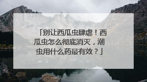别让西瓜虫肆虐！西瓜虫怎么彻底消灭，潮虫用什么药最有效？