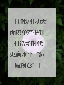 加快推动大面积单产提升 打造新时代更高水平“洞庭粮仓”