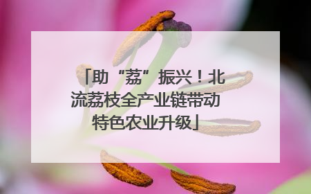 助“荔”振兴！北流荔枝全产业链带动特色农业升级