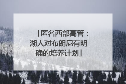 匿名西部高管：湖人对布朗尼有明确的培养计划