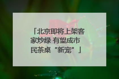 北京即将上架客家炒绿 有望成市民茶桌“新宠”