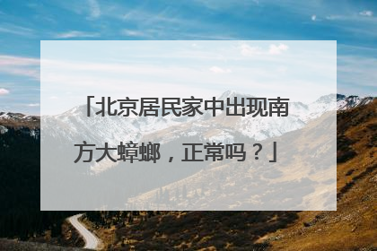 北京居民家中出现南方大蟑螂，正常吗？