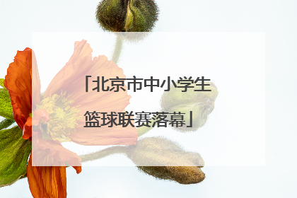北京市中小学生篮球联赛落幕