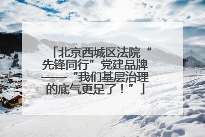 北京西城区法院“先锋同行”党建品牌——“我们基层治理的底气更足了！”