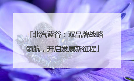 北汽蓝谷：双品牌战略领航，开启发展新征程