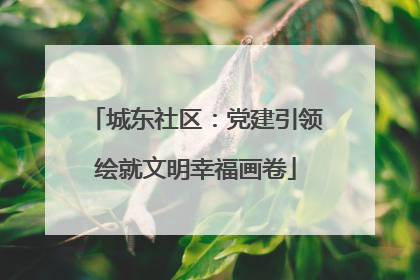 城东社区：党建引领绘就文明幸福画卷
