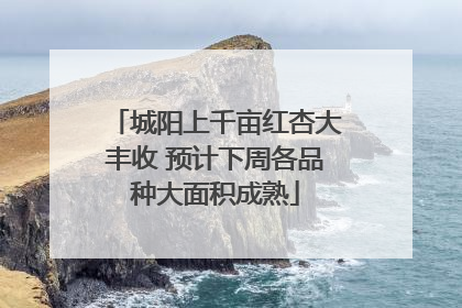 城阳上千亩红杏大丰收 预计下周各品种大面积成熟
