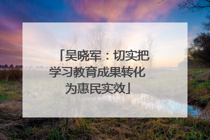 吴晓军：切实把学习教育成果转化为惠民实效