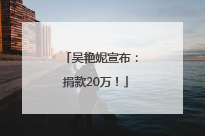 吴艳妮宣布：捐款20万！