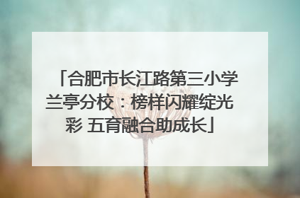 合肥市长江路第三小学兰亭分校：榜样闪耀绽光彩 五育融合助成长