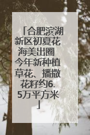 合肥滨湖新区初夏花海美出圈 今年新种植草花、播撒花籽约6.5万平方米