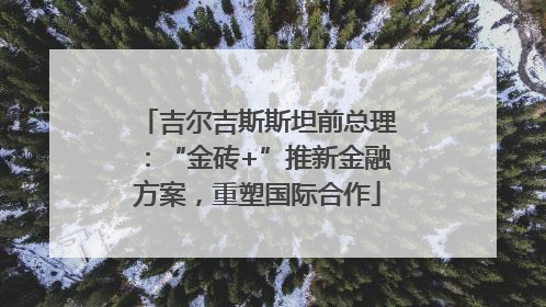 吉尔吉斯斯坦前总理：“金砖+”推新金融方案，重塑国际合作