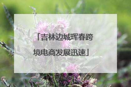 吉林边城珲春跨境电商发展迅速