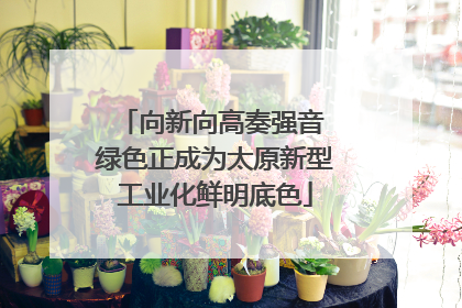向新向高奏强音 绿色正成为太原新型工业化鲜明底色