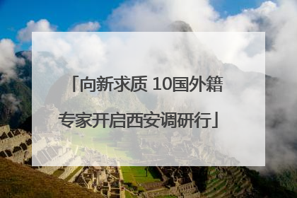 向新求质 10国外籍专家开启西安调研行