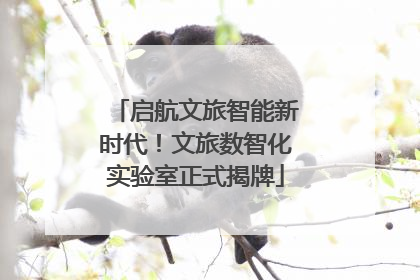 启航文旅智能新时代！文旅数智化实验室正式揭牌