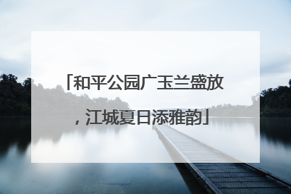 和平公园广玉兰盛放，江城夏日添雅韵