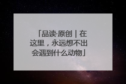 品读·原创｜在这里，永远想不出会遇到什么动物