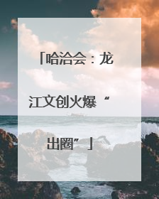哈洽会：龙江文创火爆“出圈”