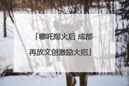 哪吒爆火后 成都再放文创激励大招