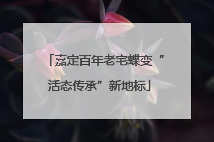 嘉定百年老宅蝶变“活态传承”新地标