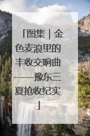 图集｜金色麦浪里的丰收交响曲——豫东三夏抢收纪实