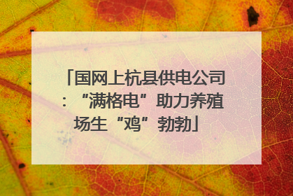 国网上杭县供电公司：“满格电”助力养殖场生“鸡”勃勃