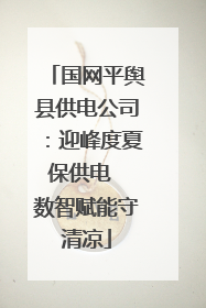 国网平舆县供电公司：迎峰度夏保供电  数智赋能守清凉