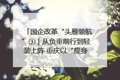 国企改革“头雁领航”③｜从负重前行到轻装上阵 重庆以“瘦身”谋“健体”