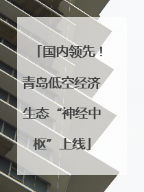 国内领先！青岛低空经济生态“神经中枢”上线