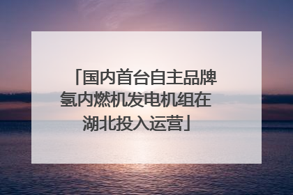 国内首台自主品牌氢内燃机发电机组在湖北投入运营