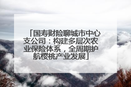 国寿财险聊城市中心支公司：构建多层次农业保险体系，全周期护航樱桃产业发展