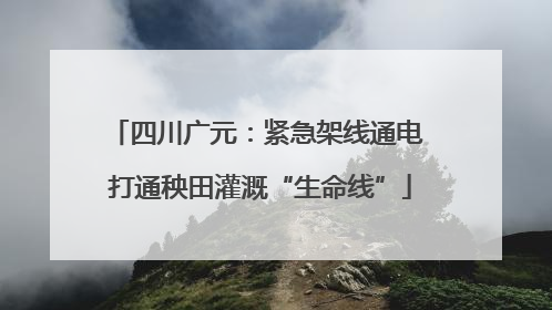 四川广元：紧急架线通电 打通秧田灌溉“生命线”