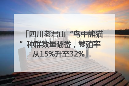 四川老君山“鸟中熊猫”种群数量翻番，繁殖率从15%升至32%