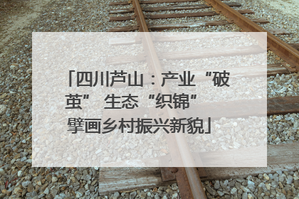 四川芦山：产业“破茧” 生态“织锦” 擘画乡村振兴新貌