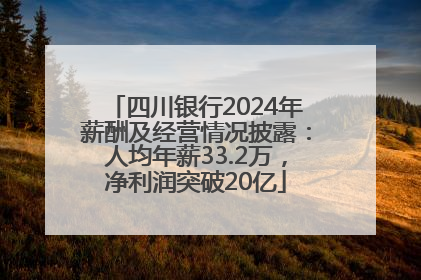 四川银行2024年薪酬及经营情况披露：人均年薪33.2万，净利润突破20亿