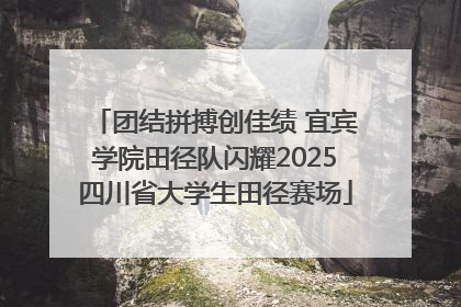 团结拼搏创佳绩 宜宾学院田径队闪耀2025四川省大学生田径赛场