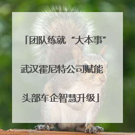 团队练就“大本事” 武汉霍尼特公司赋能头部车企智慧升级