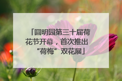 圆明园第三十届荷花节开幕，首次推出“荷梅”双花展